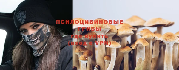 дживик Видное