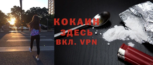 винт Мегион