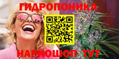 эйфоретик Гусь-Хрустальный
