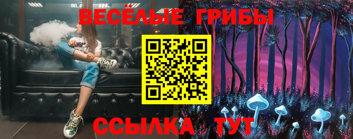 наркошоп  Галлюциногенные грибы Psilocybe  Ишимбай  Псилоцибиновые грибы Psilocybe 
