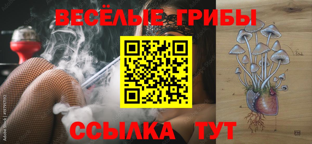 Галлюциногенные грибы мухоморы  Псилоцибиновые грибы мухоморы  купить наркотики цена  Вход с VPN  Ишимбай 
